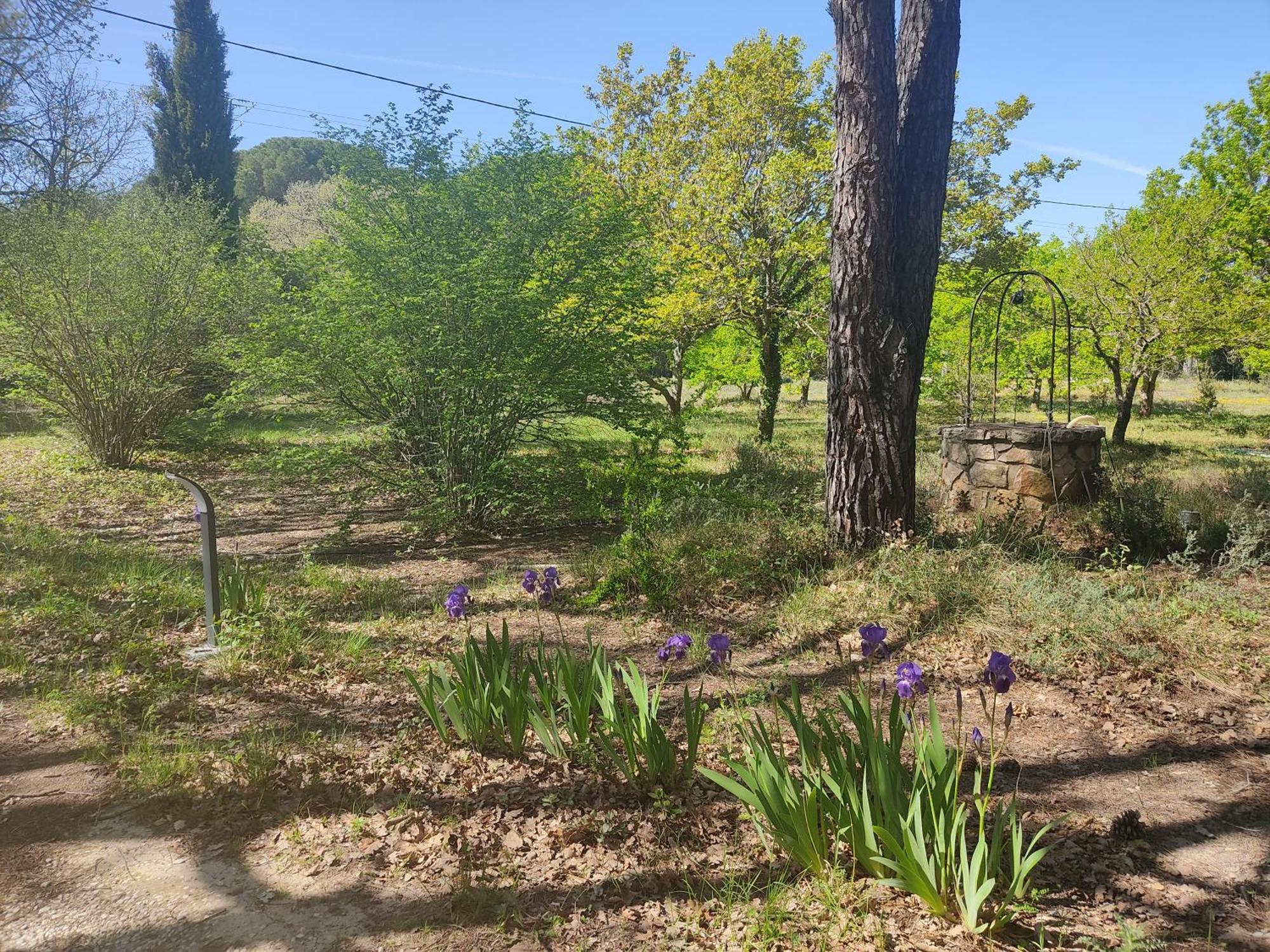 Villa Dans La Foret Provencale Jouques Eksteriør bilde