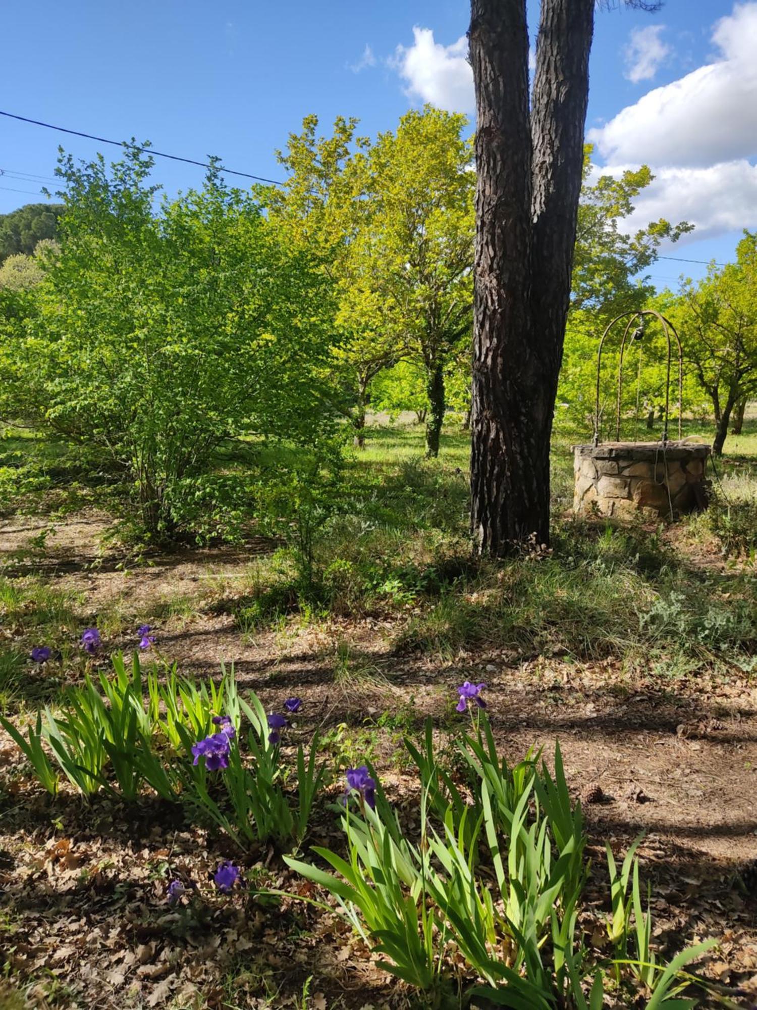 Villa Dans La Foret Provencale Jouques Eksteriør bilde